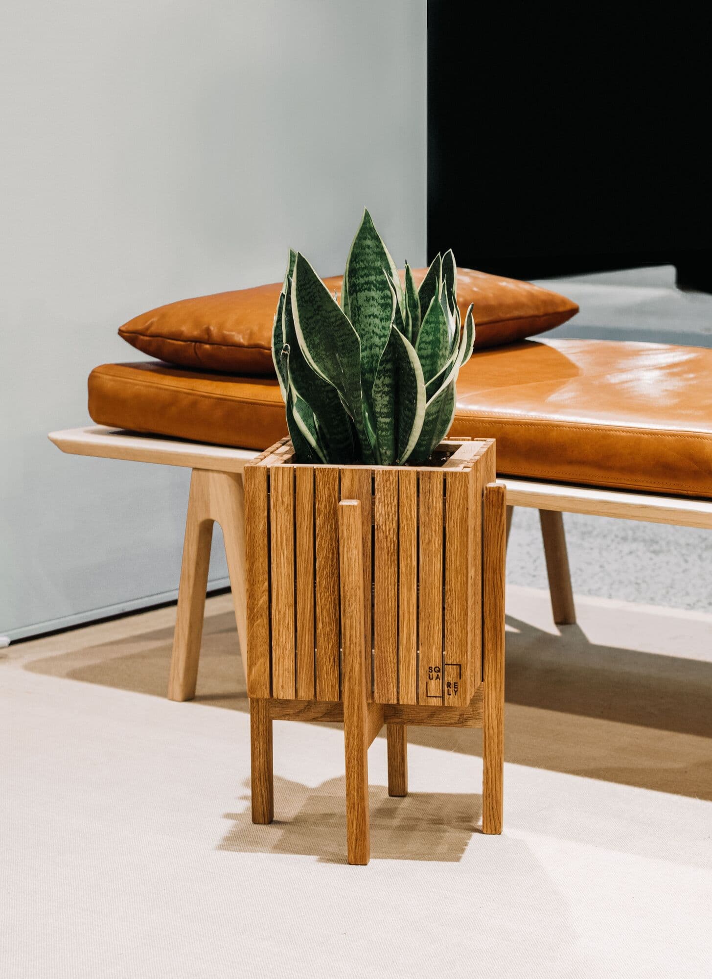 A snake plant in a wooden planter beside a leather bench